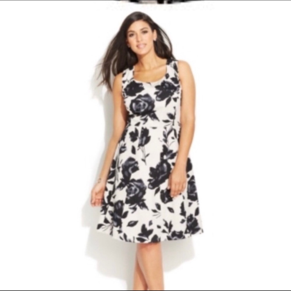 Plus Size Floral-print A-line Tuscan Roses Dress